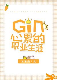 Gin心累的职业生涯