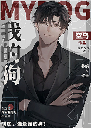 Amazon.com: 平安文学の交響 享受・摂取・翻訳: 9784585290322